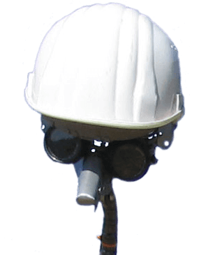 Walking act Dikkie Dike en de Kipkar